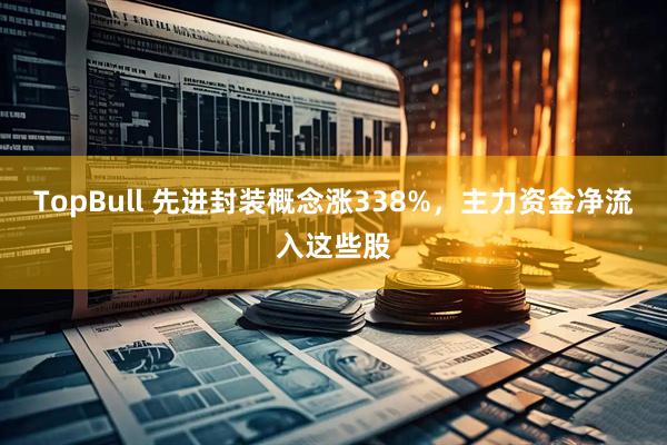 TopBull 先进封装概念涨338%，主力资金净流入这些股