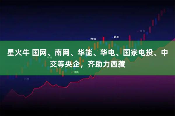 星火牛 国网、南网、华能、华电、国家电投、中交等央企，齐助力西藏